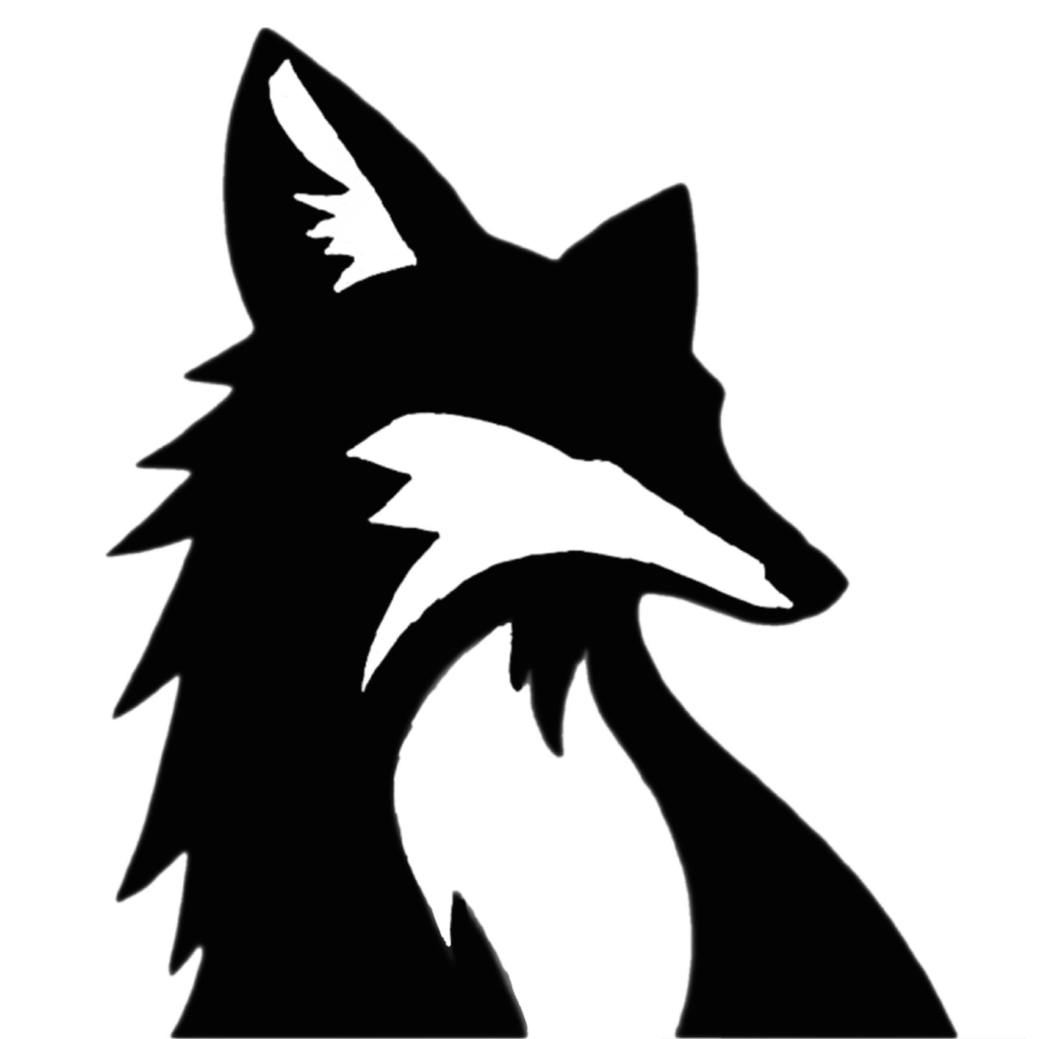 portfolio of Cedar Fox